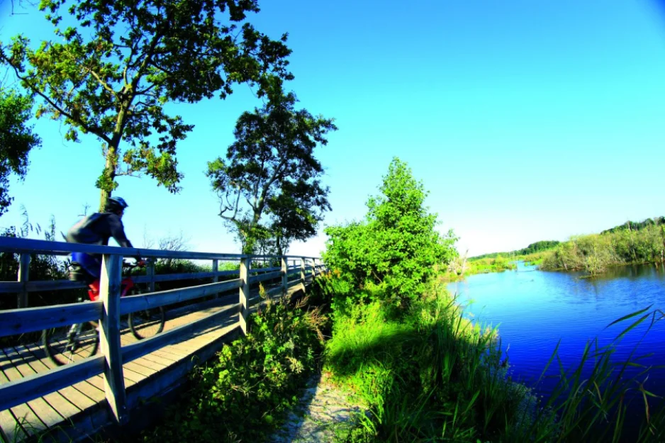 Zdjęcie Aqua Resort Apartments - Baseny & Sauny & Parking #152