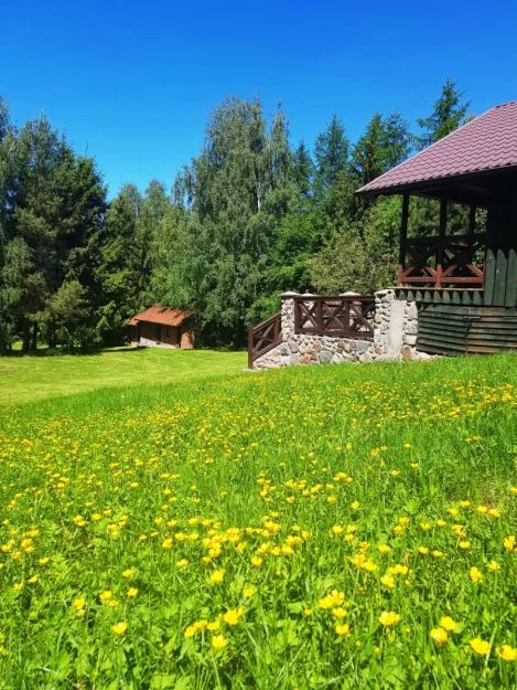 Zdjęcie Klimatyczny zielony domek nad jeziorem #23
