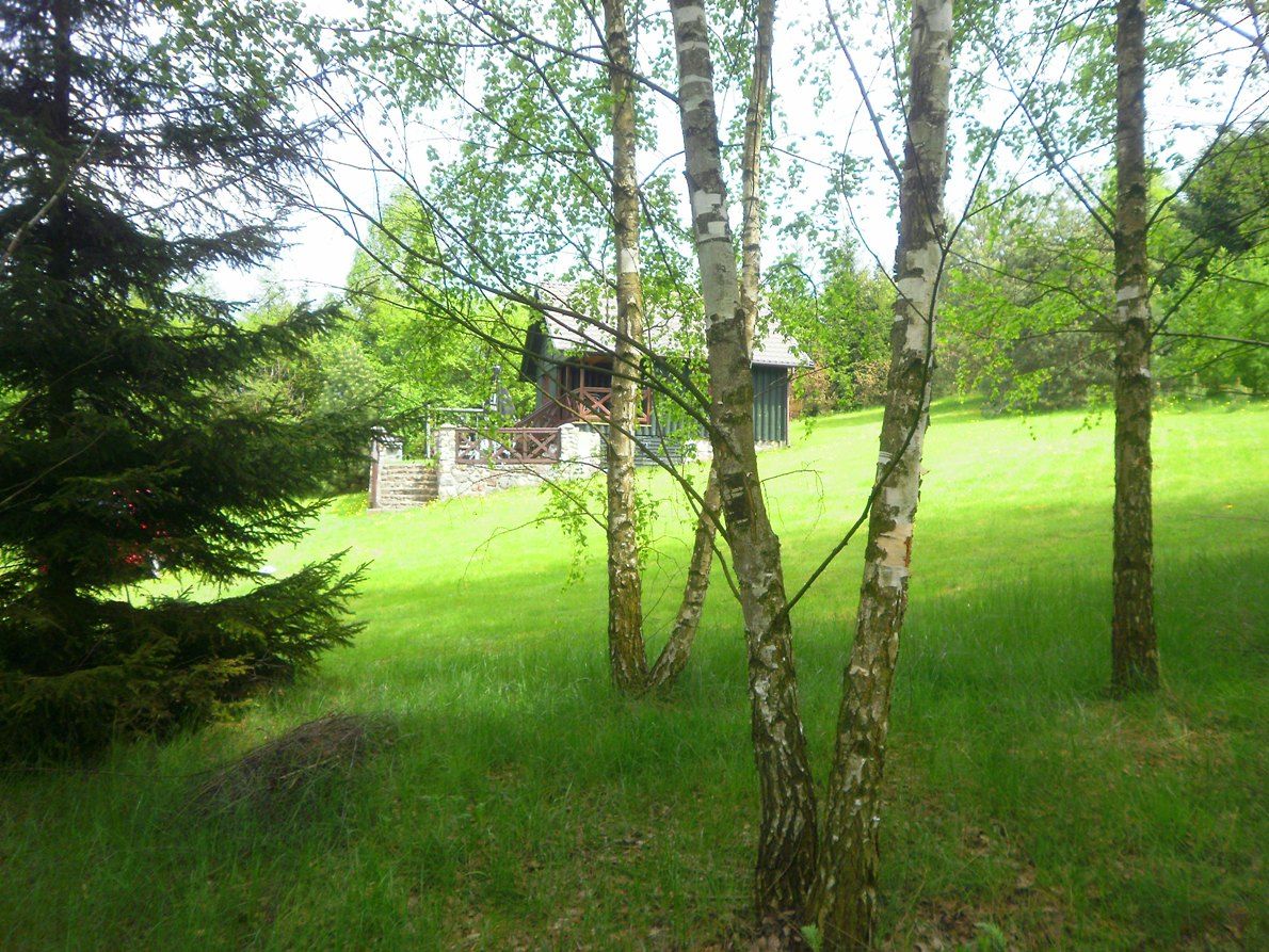 Zdjęcie Klimatyczny zielony domek nad jeziorem #2