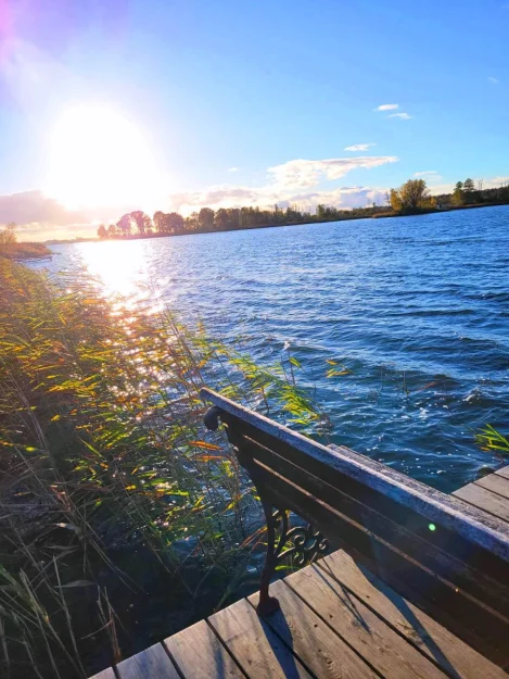 Zdjęcie Klimatyczny zielony domek nad jeziorem #39