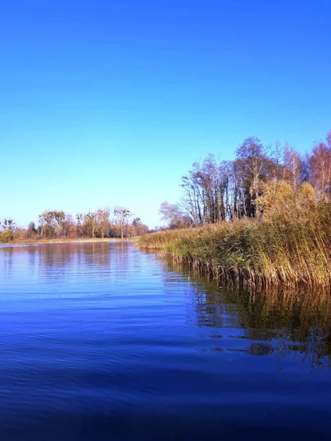 Zdjęcie Klimatyczny zielony domek nad jeziorem #40