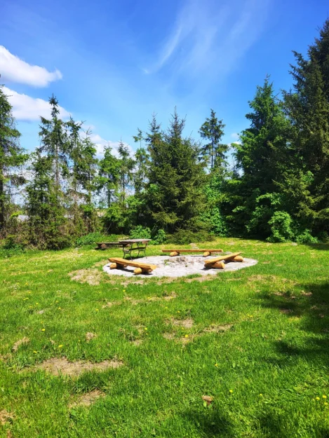 Zdjęcie Klimatyczny zielony domek nad jeziorem #65