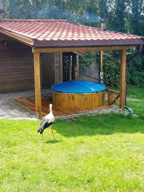 Zdjęcie Dwa domki z balią i własną linią brzegową #42