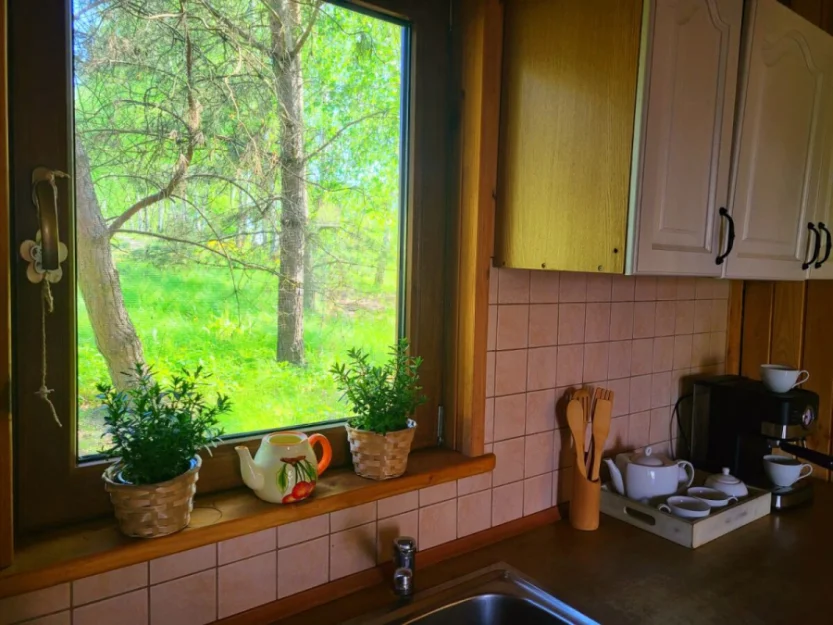 Zdjęcie Dwa domki z balią i własną linią brzegową #66