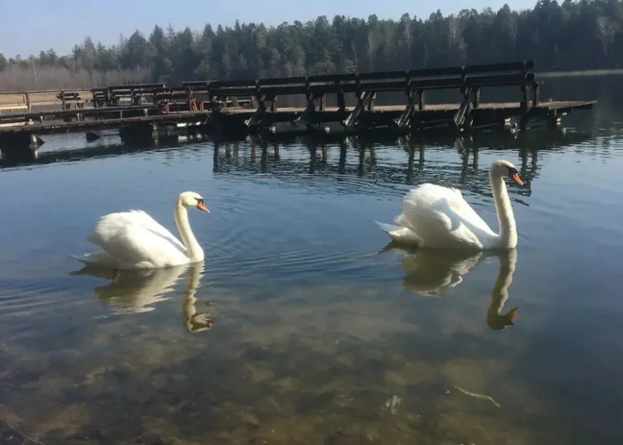 Zdjęcie Domki nad jeziorem - Kopanica #33