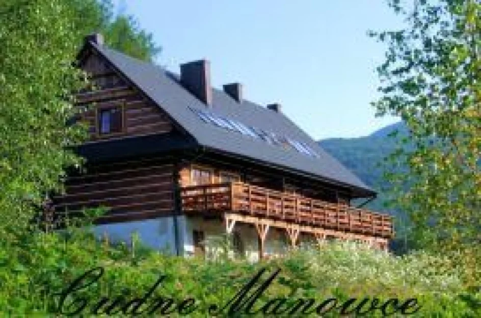 Zdjęcie Cudne Manowce #1