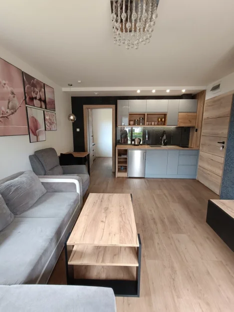 Zdjęcie Aster Aparts Wyspa Sobieszewska  #162