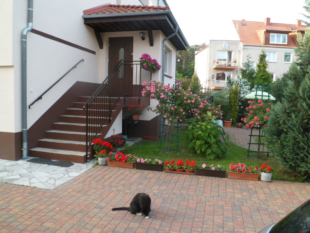 Zdjęcie Pokoje gościnne BLANKA #7