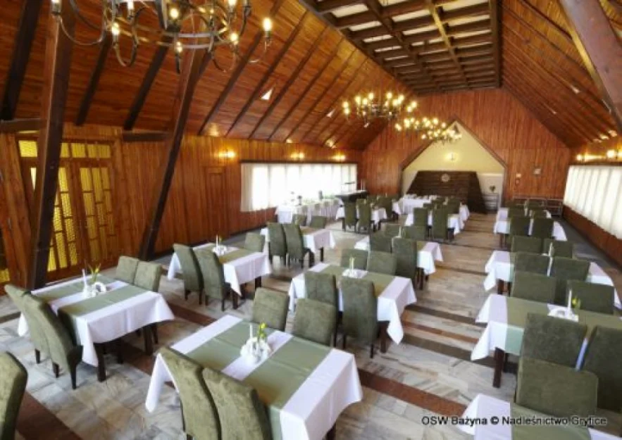 Jadalnia " Dzik"