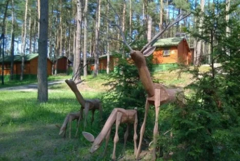 Ośrodek Wypoczynkowy KORMORAN