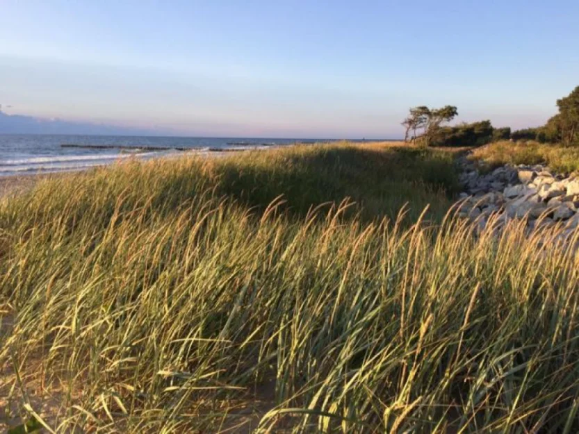 Zdjęcie Letnisko Arkadia domki przy plaży #63