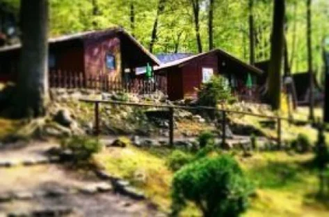 Ośrodek Wypoczynkowy "Krokus"