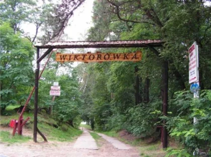 Wiktorówka