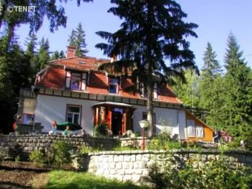 Zdjęcie Willa Polny Krzew #1