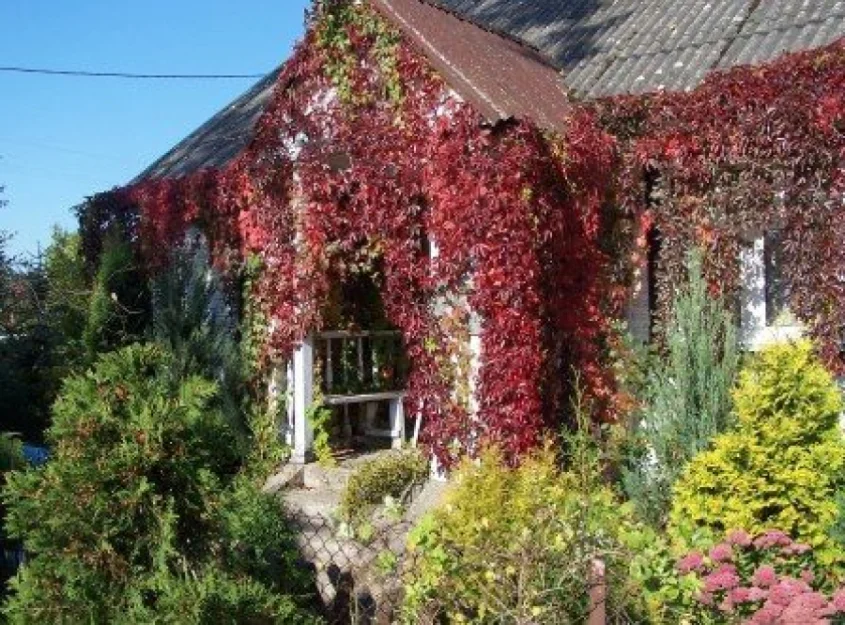 Zdjęcie Dom Gościnny Ekolandia #1