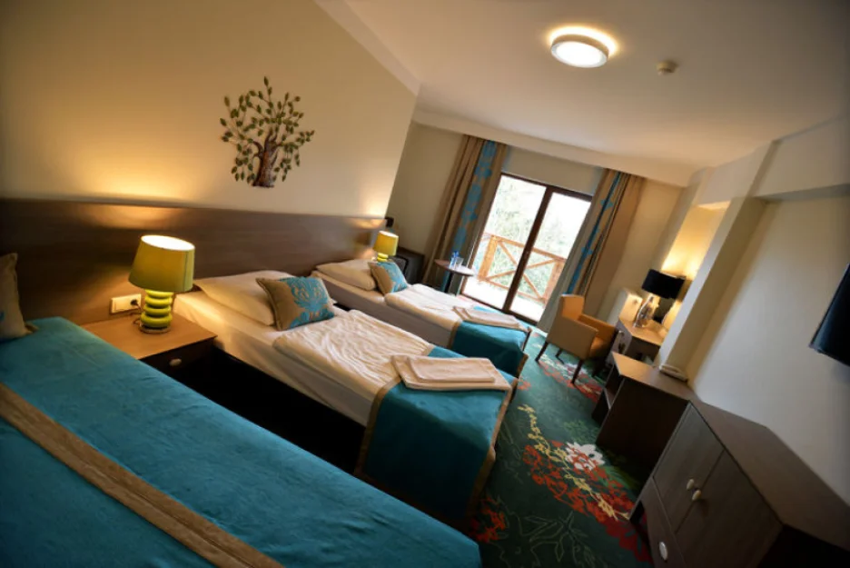 Zdjęcie Hotel Europa Górnicza Strzecha #1