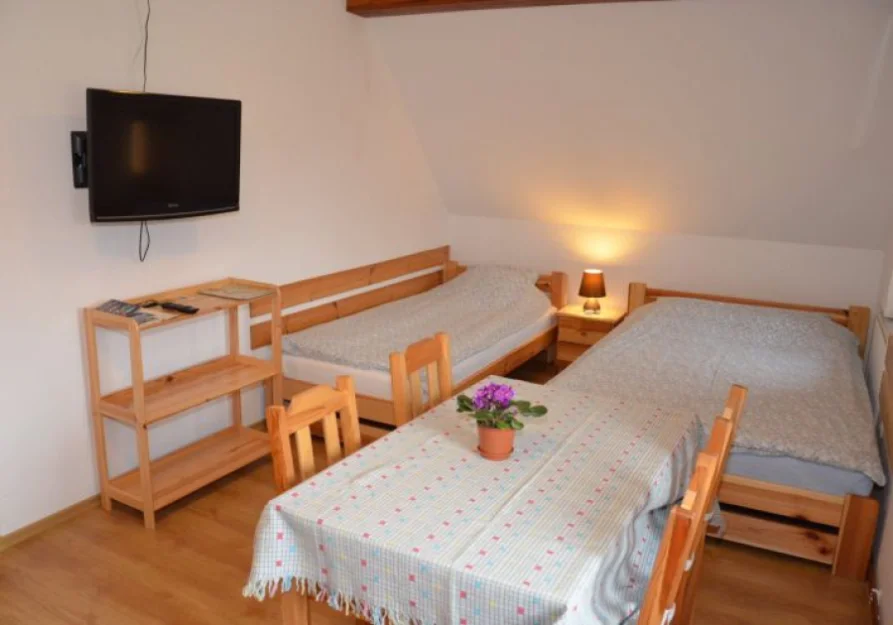 Zdjęcie AKSAMIT AGRO #2