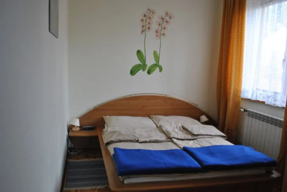 Zdjęcie Willa Alpina #2