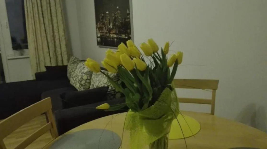 Zdjęcie Apartament przy kaskadzie #1