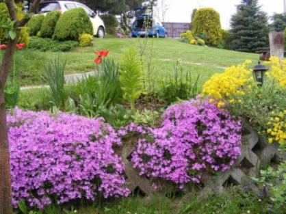 Górski Domek w Lipowej