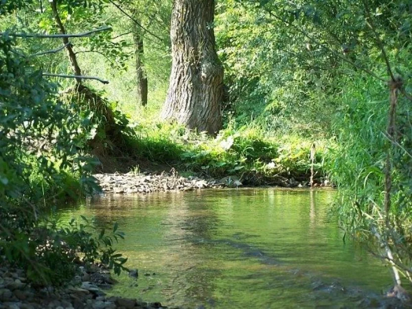 Zdjęcie Pokoje Gościnne #2