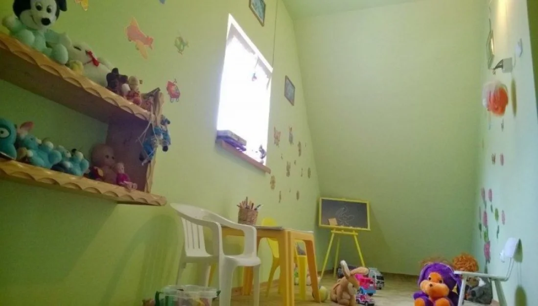 Zdjęcie Stokrotka #1