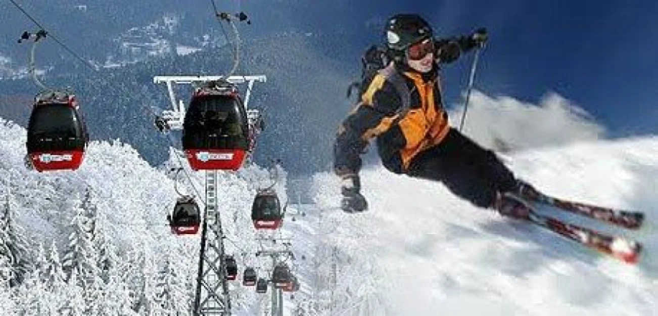 Zdjęcie Stokrotka #2