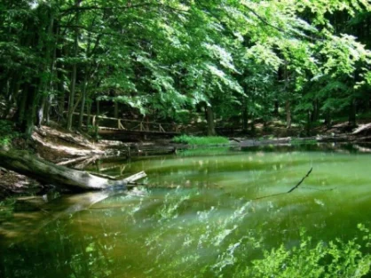 Domki całoroczne w Bieszczadach Plac zabaw dla dzieci