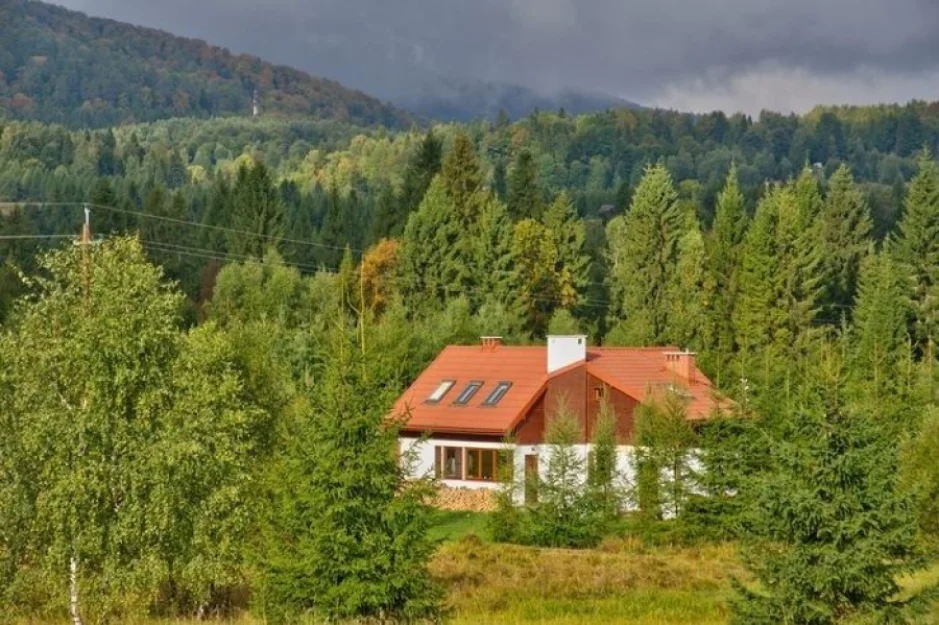 Zdjęcie Smerek 9 #2