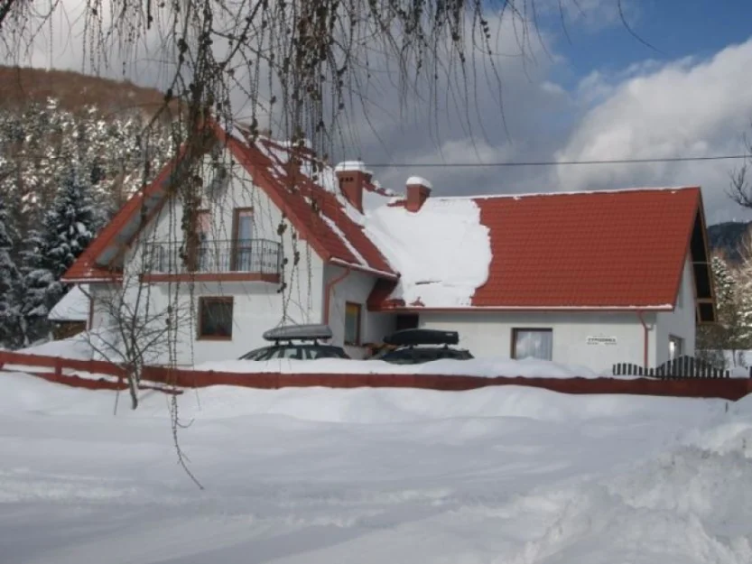 Zdjęcie Cypisówka #1