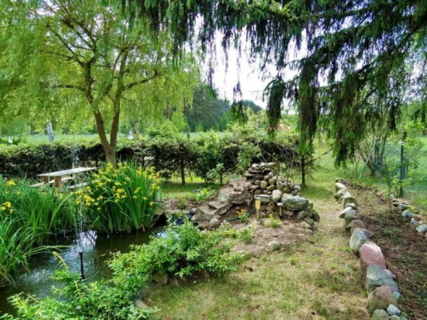 Zdjęcie Gospodarstwo Agroturystyczne Leśne Zacisze #2