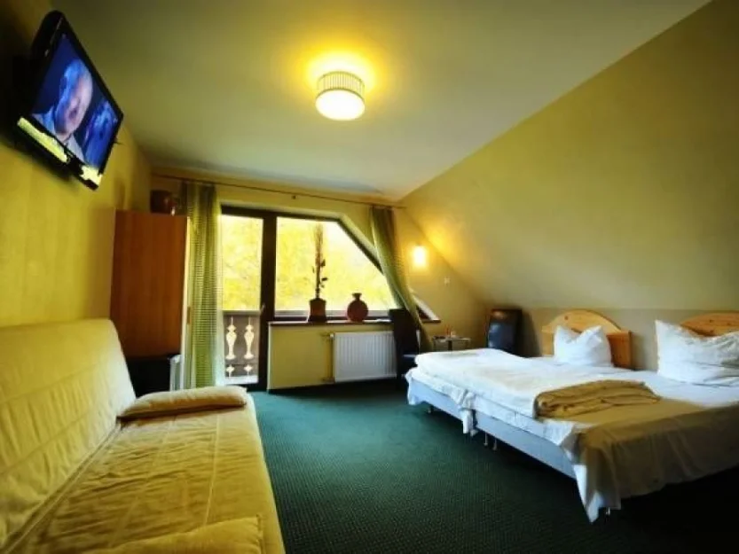 Zdjęcie Willa Pod Dobrym Humorem #2