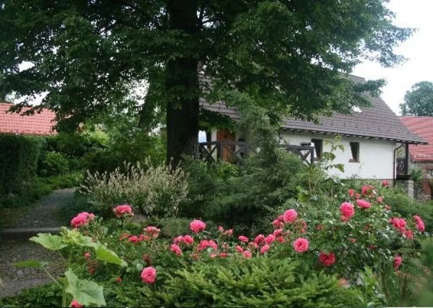 Zdjęcie Agroturystyka CHATA MIKOŁAJA #2