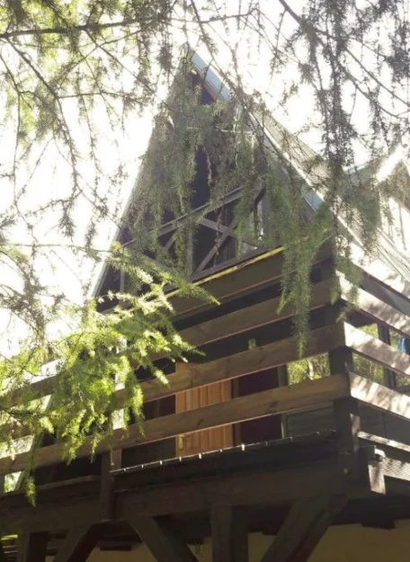 Zdjęcie Dom Letniskowy "Zielnik" #2