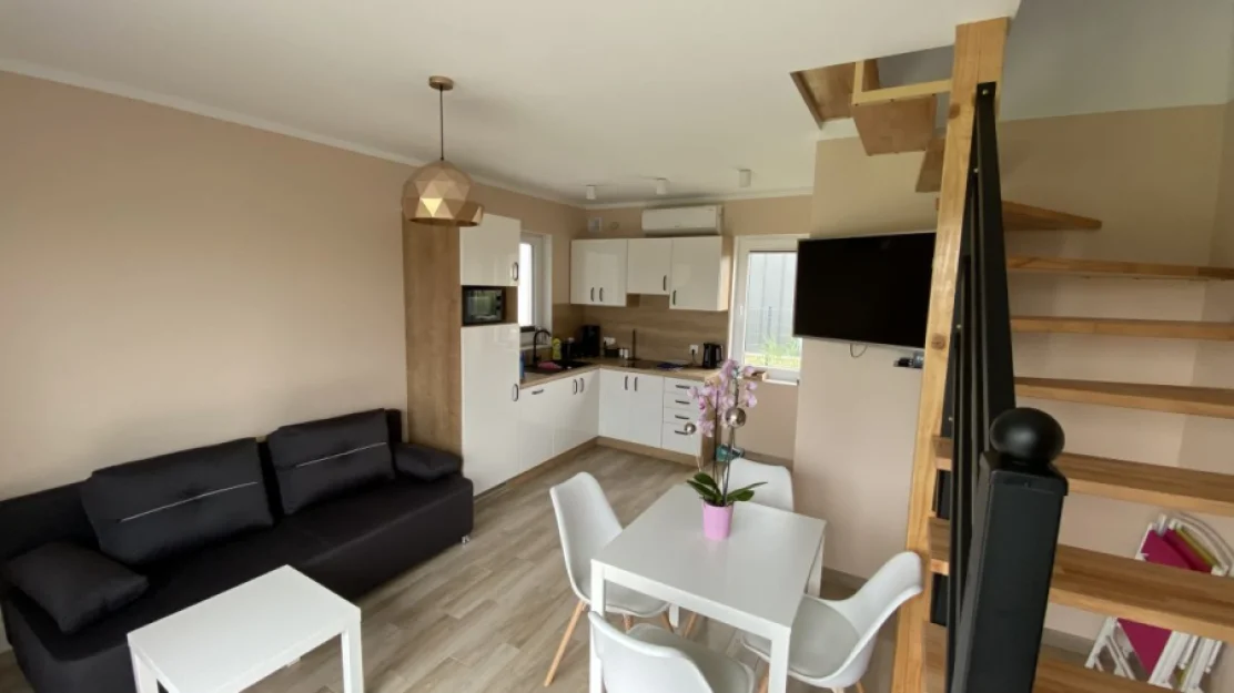 Salon z aneksem kuchennym