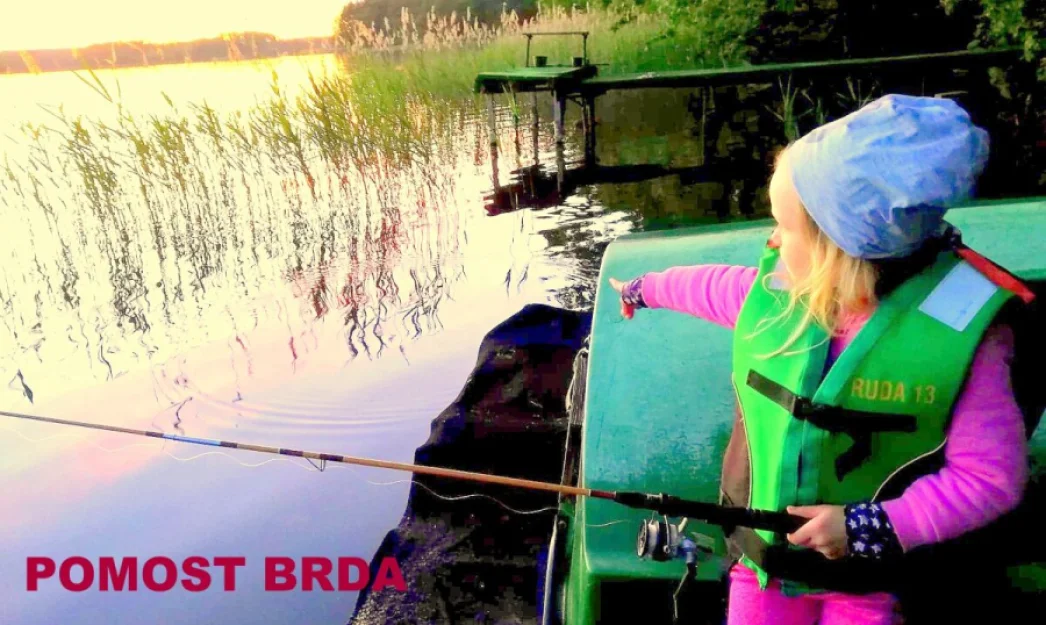 Zdjęcie DOMEK NAD JEZIOREM ogrodzony, pomost, plaża, las #24