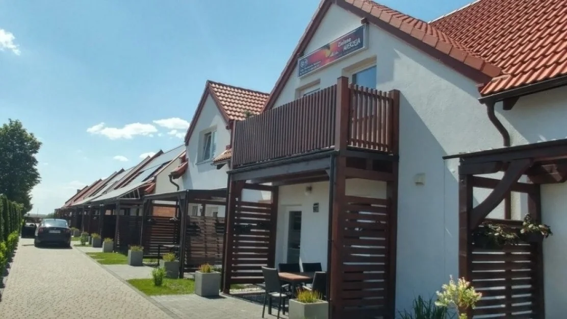 Zdjęcie ZIELONA MIERZEJA #5