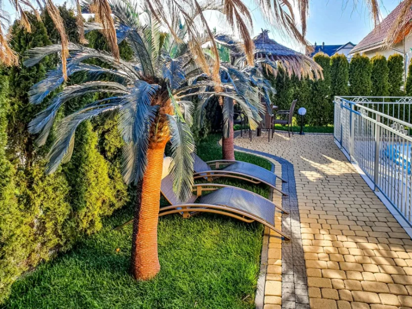 Zdjęcie Willa Ciskowscy #9