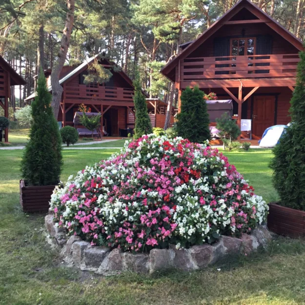 Zdjęcie O.W. Majed #3