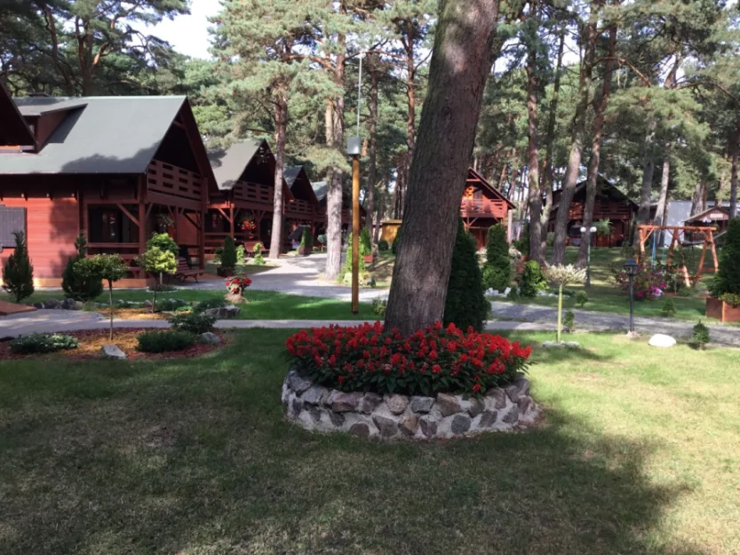 Zdjęcie O.W. Majed #7