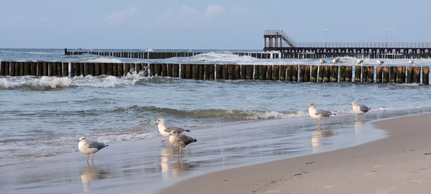Zdjęcie Bumerang Pokoje Gościnne i Apartamenty #76