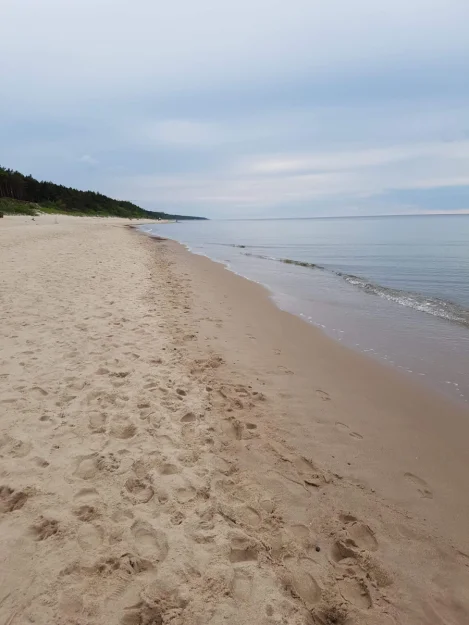 Zdjęcie Nasza Chata 300 m od plaży #83