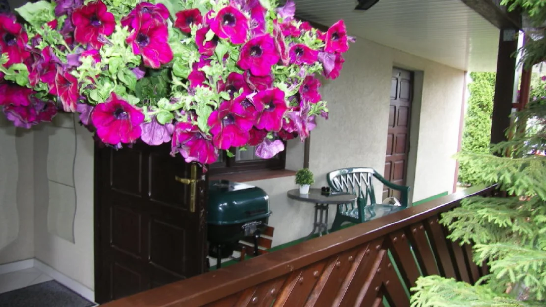 Zdjęcie Pensjonat SYLWIA  #16