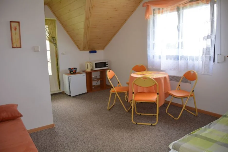 Zdjęcie Pensjonat SYLWIA  #41