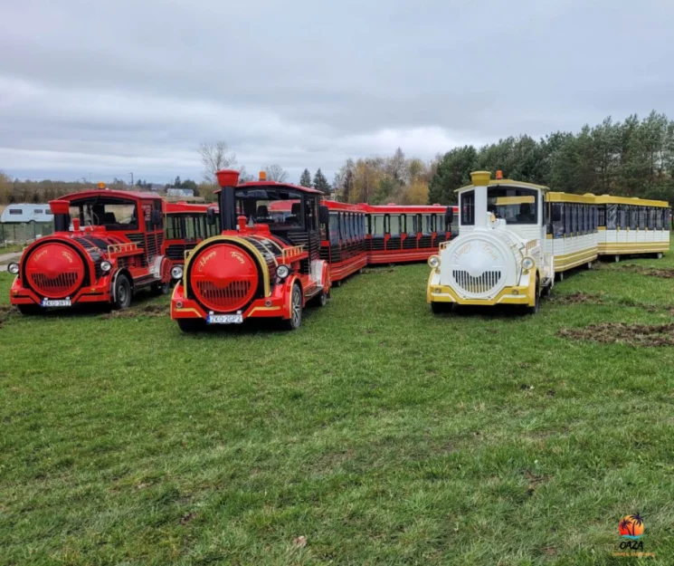 Zdjęcie Domki Wypoczynkowe OAZA  #17