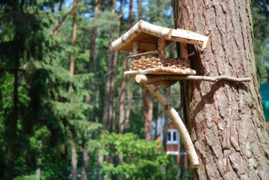 Zdjęcie NawaraPARK - Domki z BALI - POBIEROWO #13