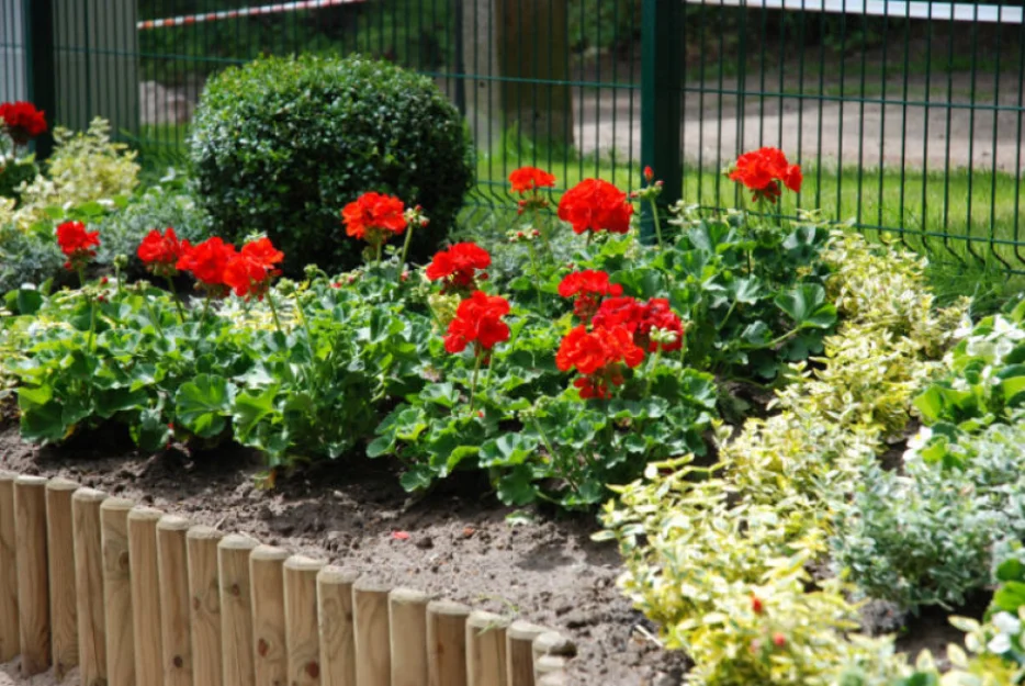 Zdjęcie NawaraPARK - Domki z BALI - POBIEROWO #14