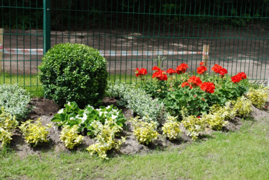 Zdjęcie NawaraPARK - Domki z BALI - POBIEROWO #25