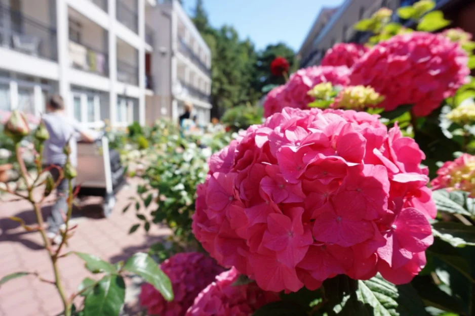 Zdjęcie Laguna Kompleks Wypoczynkowo-Rekreacyjny  #20