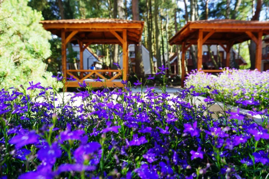 Zdjęcie Laguna Kompleks Wypoczynkowo-Rekreacyjny  #21